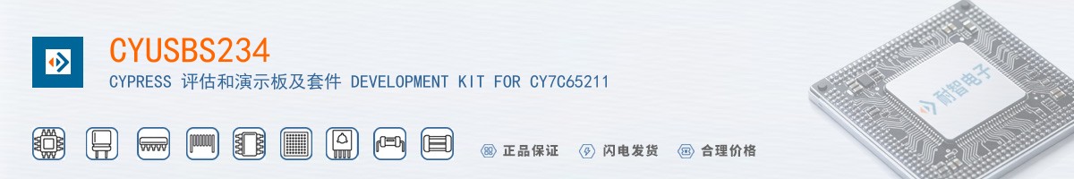 CYUSBS234������