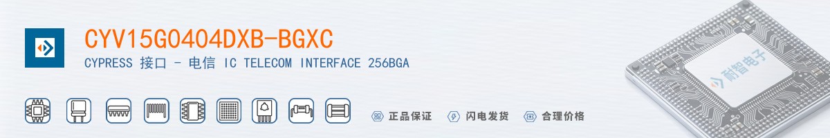 CYV15G0404DXB-BGXC������