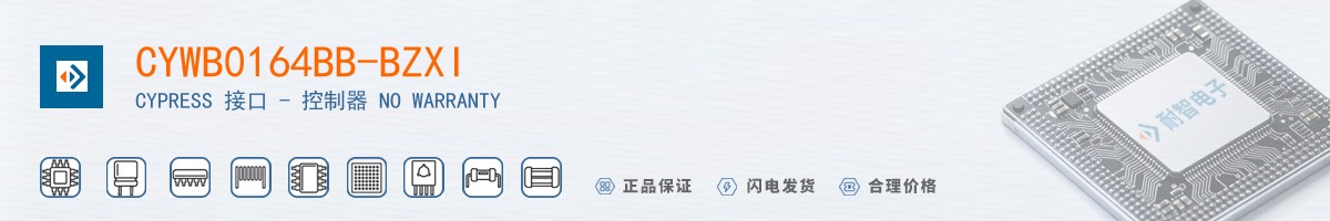 CYWB0164BB-BZXI������