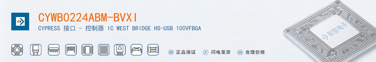 CYWB0224ABM-BVXI������