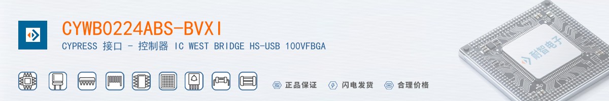 CYWB0224ABS-BVXI������