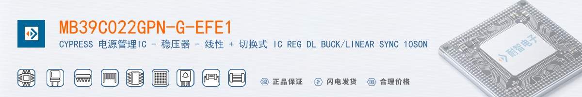 MB39C022GPN-G-EFE1������