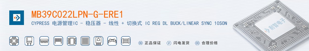 MB39C022LPN-G-ERE1������