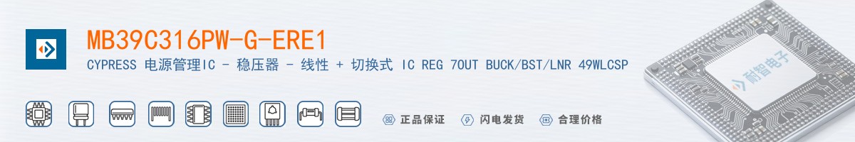 MB39C316PW-G-ERE1������