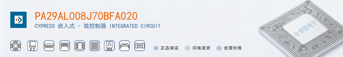 PA29AL008J70BFA020������