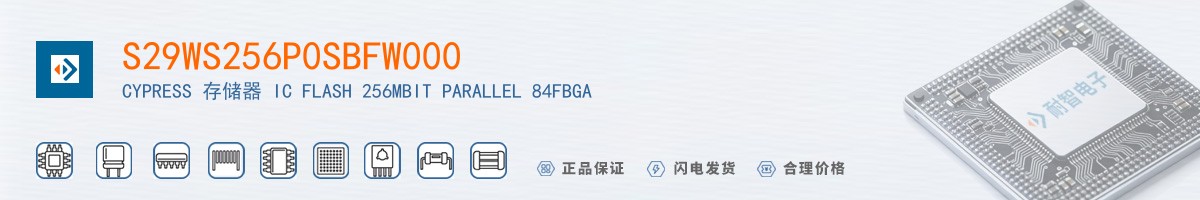 S29WS256P0SBFW000������