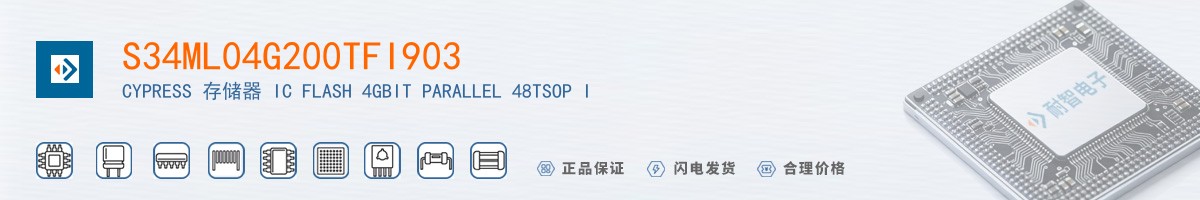 S34ML04G200TFI903������