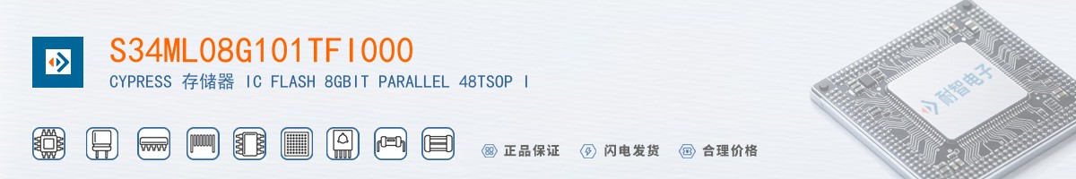 S34ML08G101TFI000������