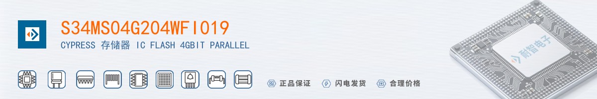 S34MS04G204WFI019������