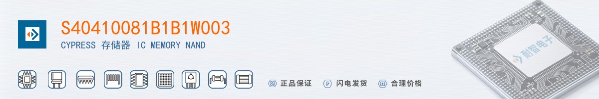 S40410081B1B1W003������