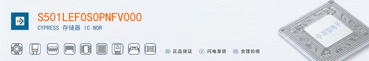 S501LEF0S0PNFV000������