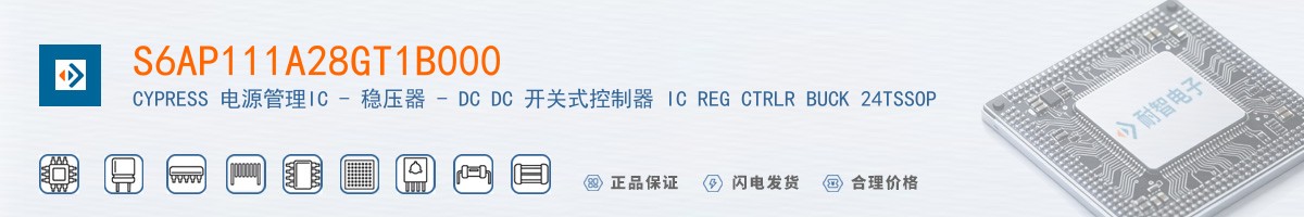 S6AP111A28GT1B000������