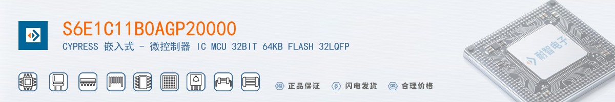 S6E1C11B0AGP20000������