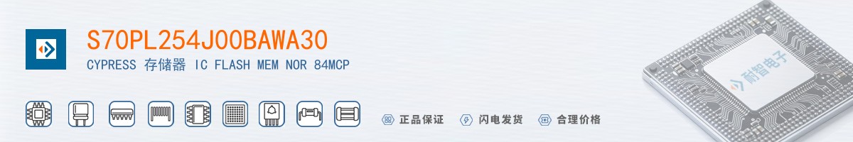 S70PL254J00BAWA30������