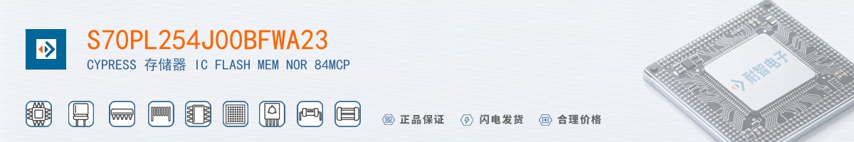 S70PL254J00BFWA23������