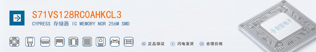 S71VS128RC0AHKCL3������