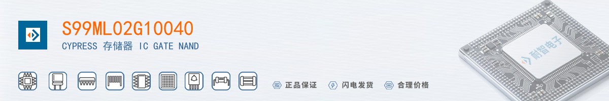 S99ML02G10040������