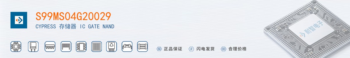 S99MS04G20029������