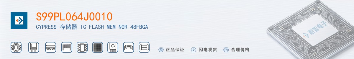 S99PL064J0010������