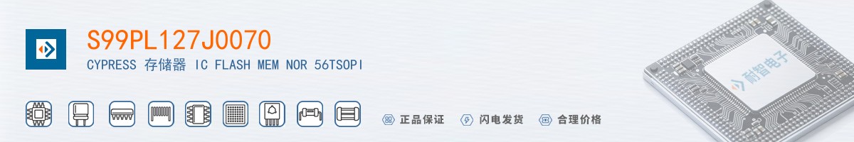 S99PL127J0070������