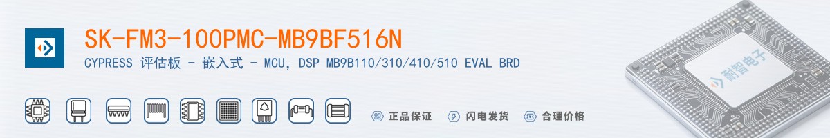 SK-FM3-100PMC-MB9BF516N������