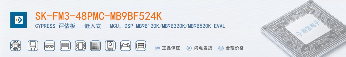 SK-FM3-48PMC-MB9BF524K������