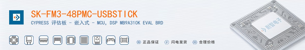 SK-FM3-48PMC-USBSTICK������